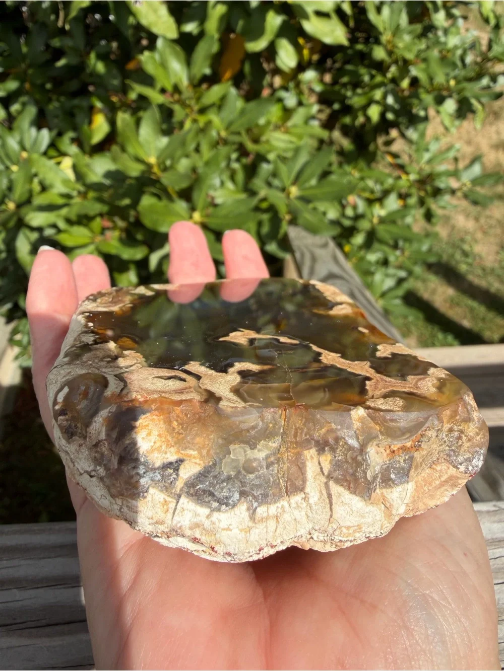 Large Polished Agate with Display Stand